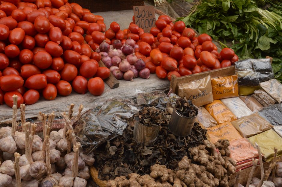 Dehydrated Onion and Garlic sourced from verified Indian suppliers