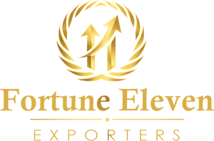 Fortune Eleven
